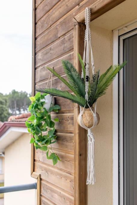 Appartement Des Grands Lacs Sanguinet Eksteriør bilde